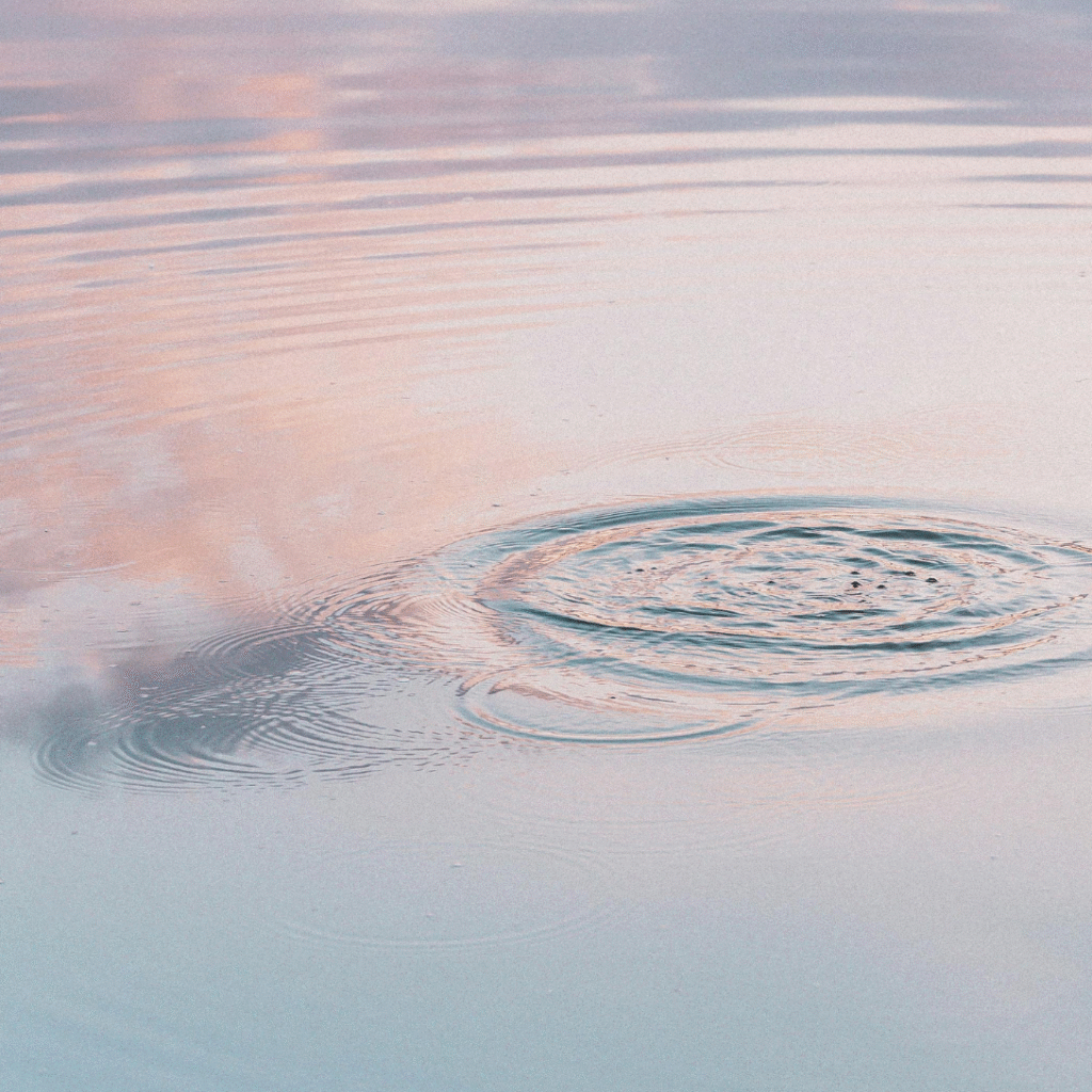 Skipping Rocks - Tempe, Arizona - Nonprofit
